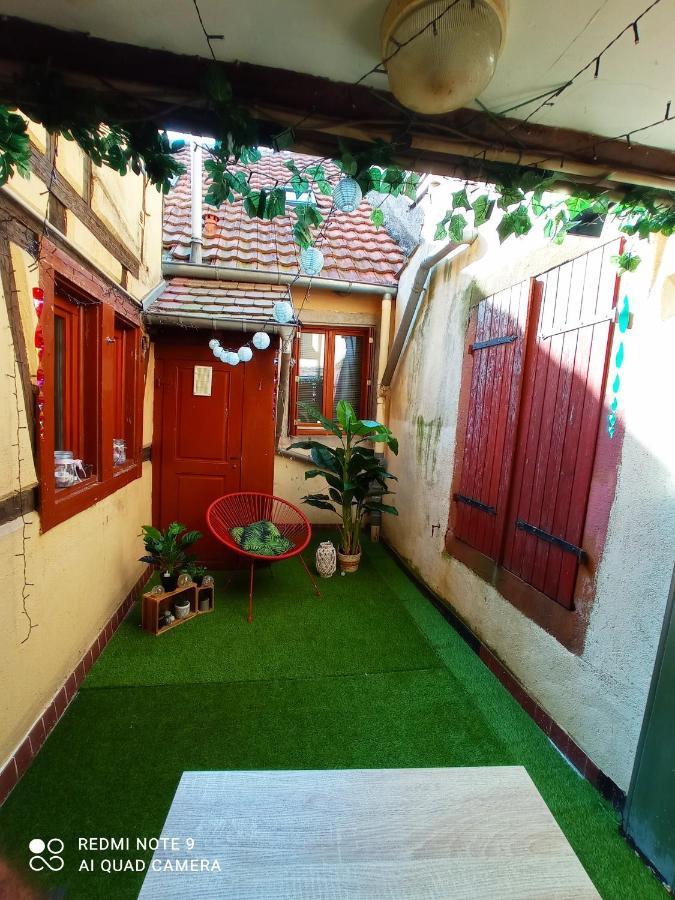 Happy Petite Venise Apartment Colmar Ngoại thất bức ảnh